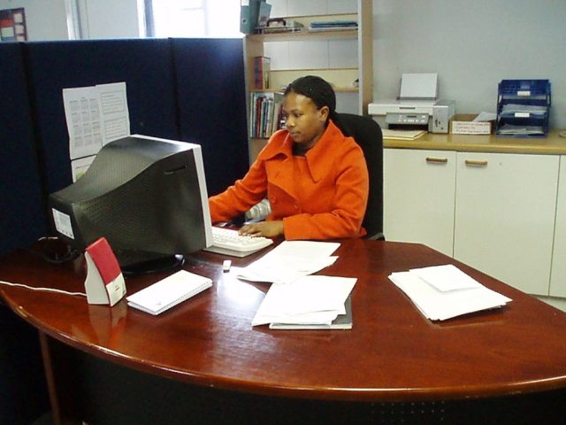 2011: BSA Project Assistant